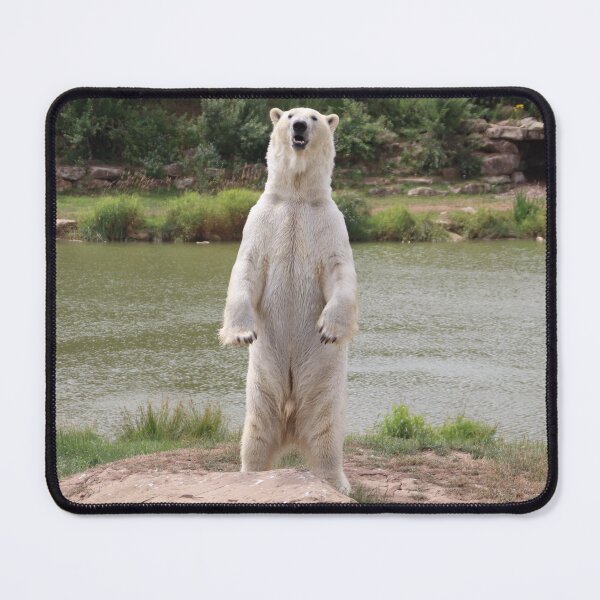 Item preview, A Real Stand Up Guy designed and sold by Ladymoose.