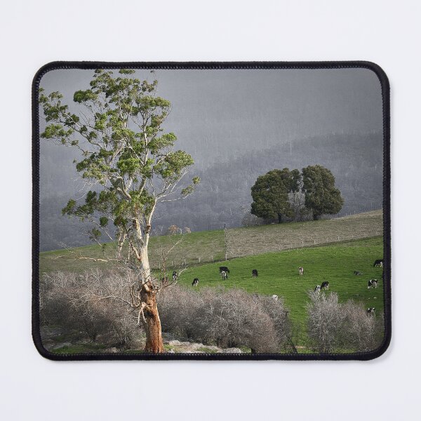Item preview, Deloraine, Tasmania designed and sold by Mathew Courtney.