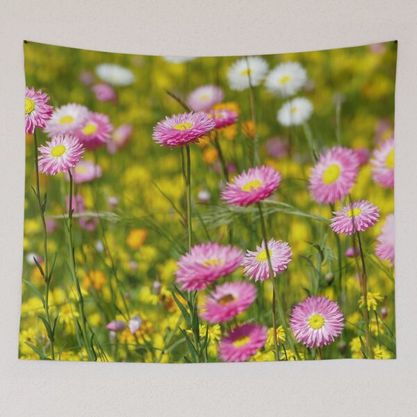Item preview, Pink wildflowers against a background of yellow groundcover designed and sold by jaynerushton.