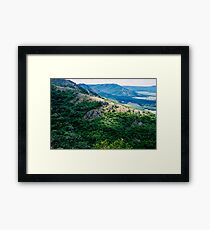 shades of green Framed Print