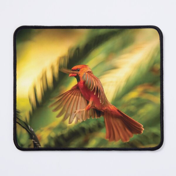 Item preview, Redbird Approach designed and sold by Kay Brewer.
