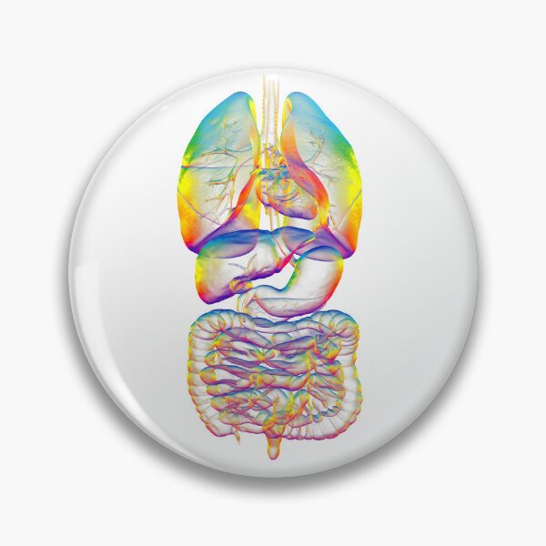 Item preview, Rainbow Human Organs Anatomy designed and sold by Kateryna Kon.