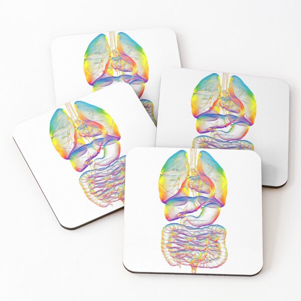 Item preview, Rainbow Human Organs Anatomy designed and sold by Kateryna Kon.