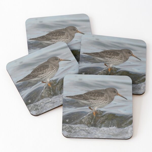 Item preview, Purple sandpiper  Bird designed and sold by The Art of Kkatarynka.
