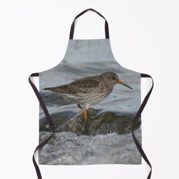 Item preview, Purple sandpiper Bird designed and sold by The Art of Kkatarynka.