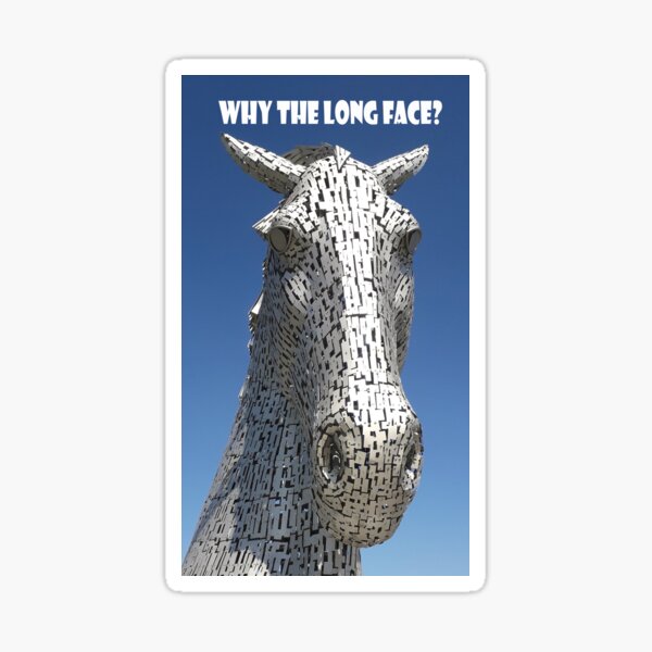 Item preview, Why the Long Face? designed and sold by beavo.