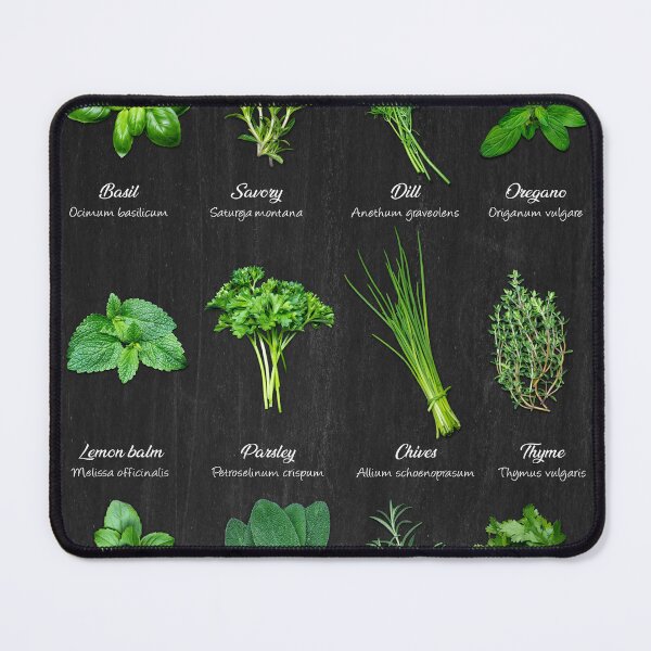 Item preview, Culinary herbs – an overview of kitchen classics / English designed and sold by PhotoArt Thomas Klee.