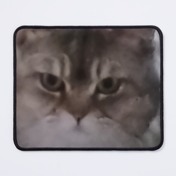 Item preview, ojo de gato designed and sold by Gahuutzshop.