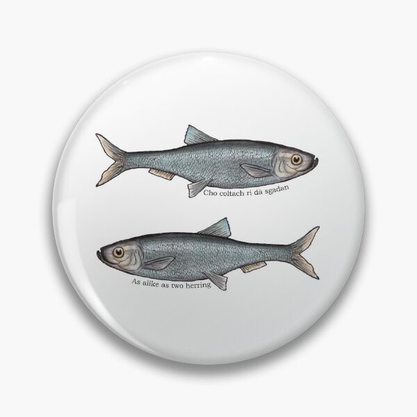 Item preview,   As alike as two herring / Cho coltach ri dà sgadan Scottish Gaelic proverb designed and sold by Mamaidh Made.