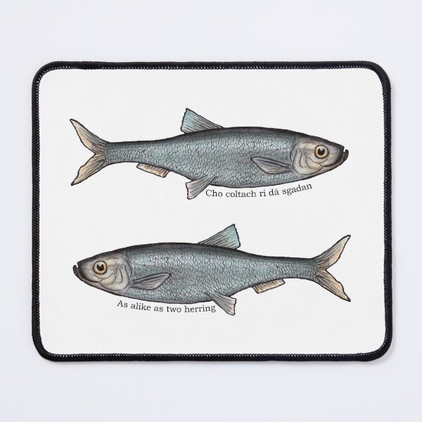 Item preview,   As alike as two herring / Cho coltach ri dà sgadan Scottish Gaelic proverb designed and sold by Mamaidh Made.