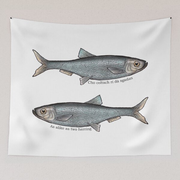 Item preview,   As alike as two herring / Cho coltach ri dà sgadan Scottish Gaelic proverb designed and sold by Mamaidh Made.
