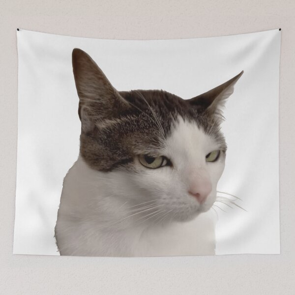 Item preview, Judgmental Cat – That "Seriously?" Look designed and sold by Dyan4.