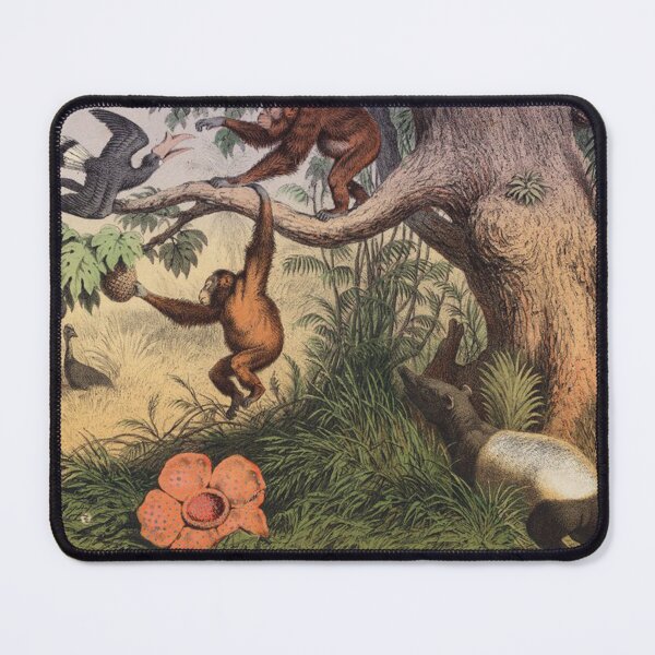 Item preview, A Swamp in Sumatra (colour litho) designed and sold by Vintage Designs +.