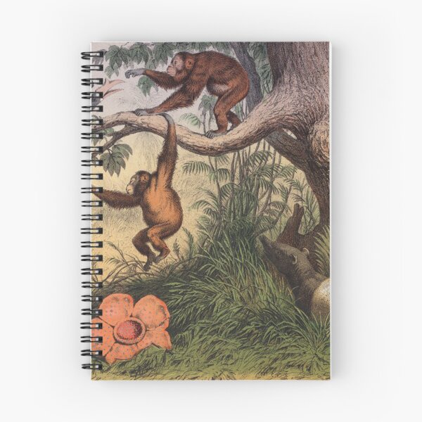 Item preview, A Swamp in Sumatra (colour litho) designed and sold by Vintage Designs +.