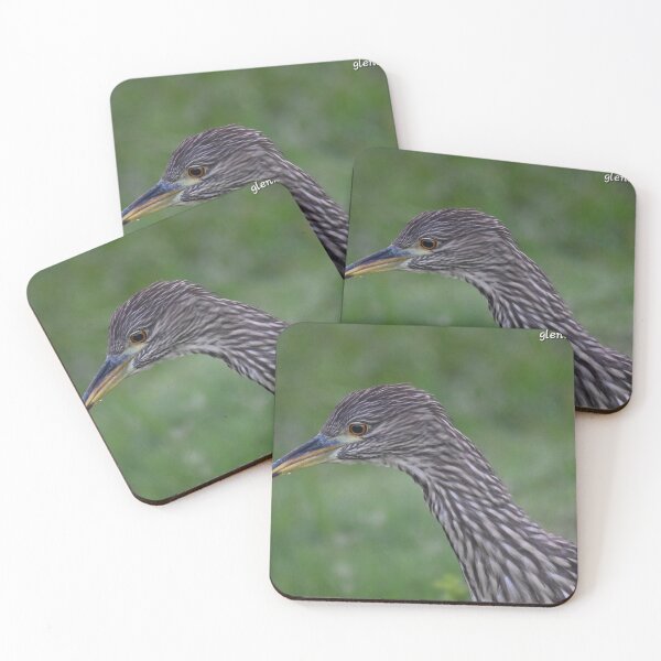 Item preview, Juvenile Night Heron  designed and sold by Glennphotos.