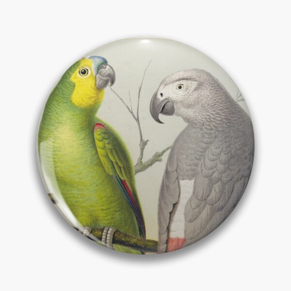Item preview, Vintage lithograph of Amazon Parrot and Grey Parrot designed and sold by Vintage Designs +.