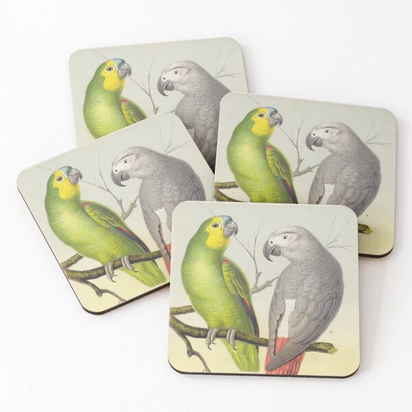 Item preview, Vintage lithograph of Amazon Parrot and Grey Parrot designed and sold by Vintage Designs +.