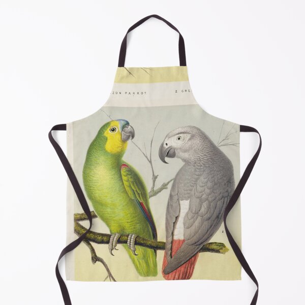 Item preview, Vintage lithograph of Amazon Parrot and Grey Parrot designed and sold by Vintage Designs +.