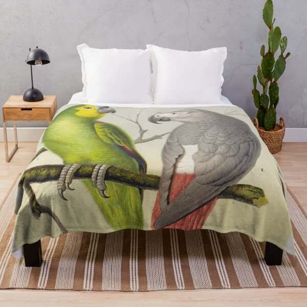 Item preview, Vintage lithograph of Amazon Parrot and Grey Parrot designed and sold by Vintage Designs +.