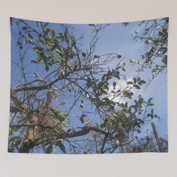 Item preview, Aesthetic Nature designed and sold by Nesro34.