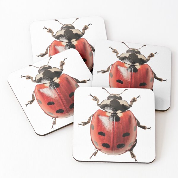 Item preview, Lady Bug  designed and sold by Kittylemon.