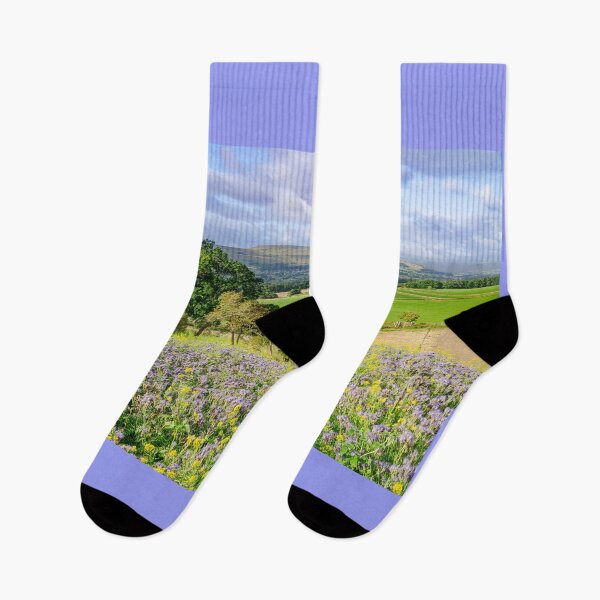 Item preview, Footpath with view of Pen Hill in Wensleydale designed and sold by Andrew Fletcher Photography.