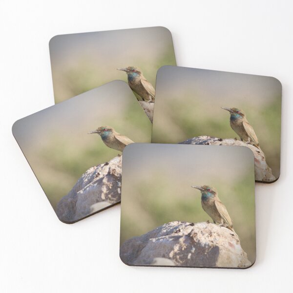 Item preview, Bee-eater on a rock designed and sold by Angus1029.