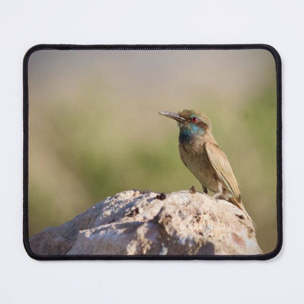Item preview, Bee-eater on a rock designed and sold by Angus1029.