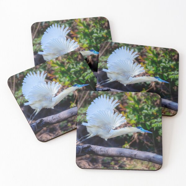 Item preview, Capped Heron Takes Flight Pantanal Brazil designed and sold by PhotoArt by Joan Carroll.