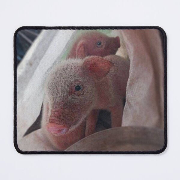 Item preview, Diego and Dora - Mindanao, Philippines. designed and sold by Love where you live.