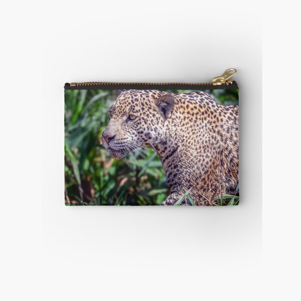 Item preview, First Jaguar Sighting Pantanal Brazil designed and sold by PhotoArt by Joan Carroll.