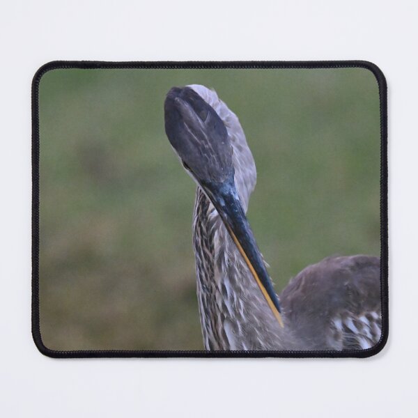 Item preview, Great Blue Heron designed and sold by Glennphotos.