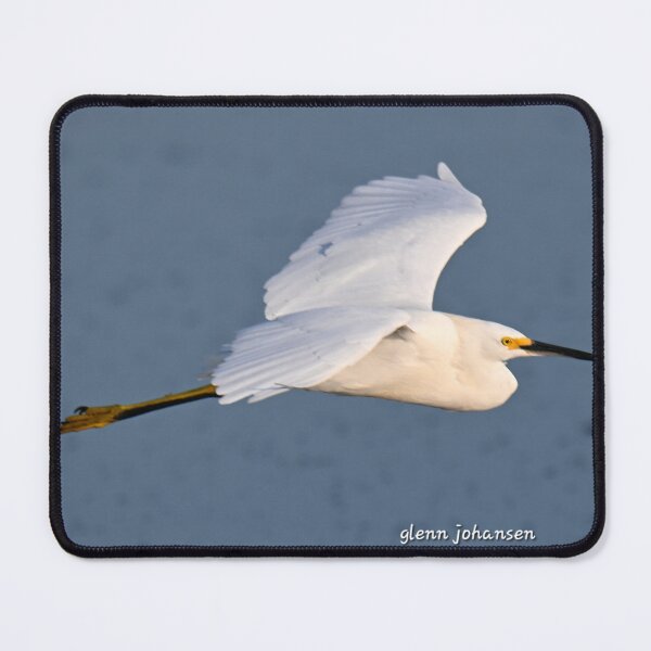 Item preview, Snowy Egret flying designed and sold by Glennphotos.