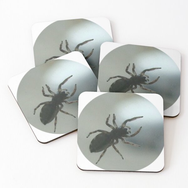 Item preview, spider on glass photo art designed and sold by SmashingDeals.