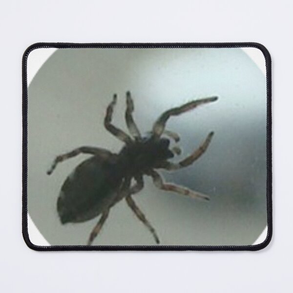 Item preview, spider on glass photo art designed and sold by SmashingDeals.
