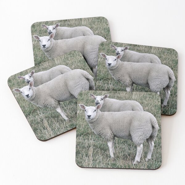 Item preview, Sheepish Pair designed and sold by Tom McPherson Photography.