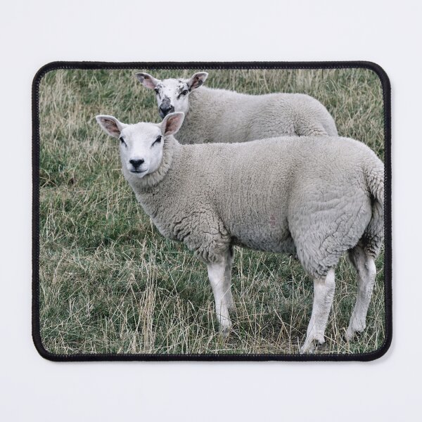 Item preview, Sheepish Pair designed and sold by Tom McPherson Photography.