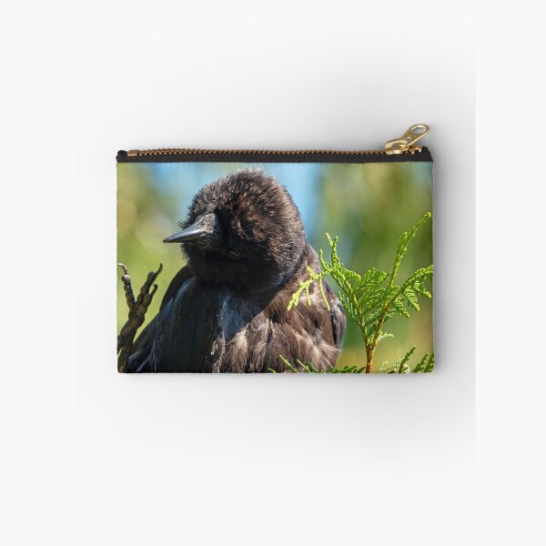 Item preview, American Crow with its foot in the air like it just don't care designed and sold by lisavonbiela.