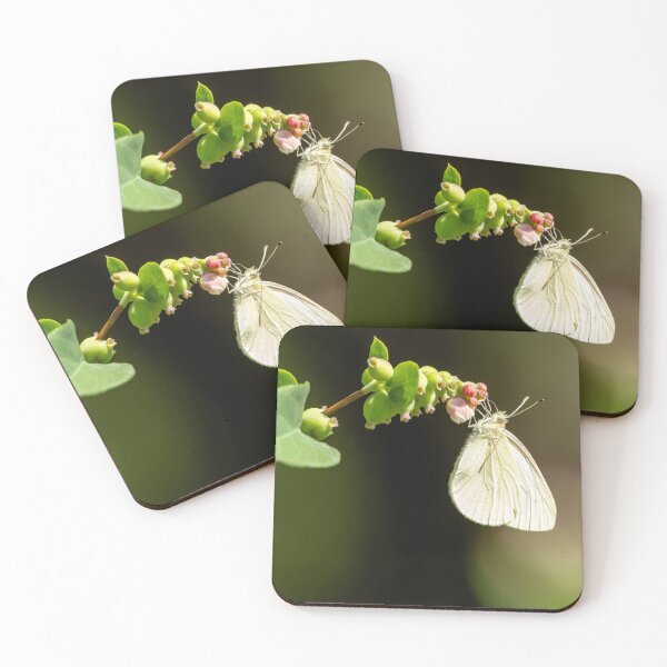 Item preview, Cabbage Butterfly hanging from a snowberry while feeding designed and sold by lisavonbiela.