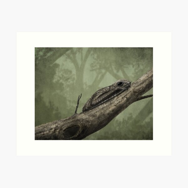 Item preview, Anurognathus on a branch designed and sold by MarkWitton.