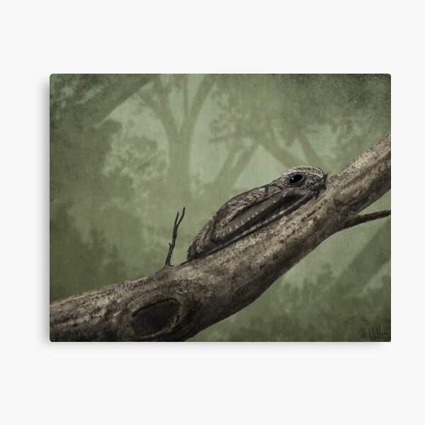 Item preview, Anurognathus on a branch designed and sold by MarkWitton.
