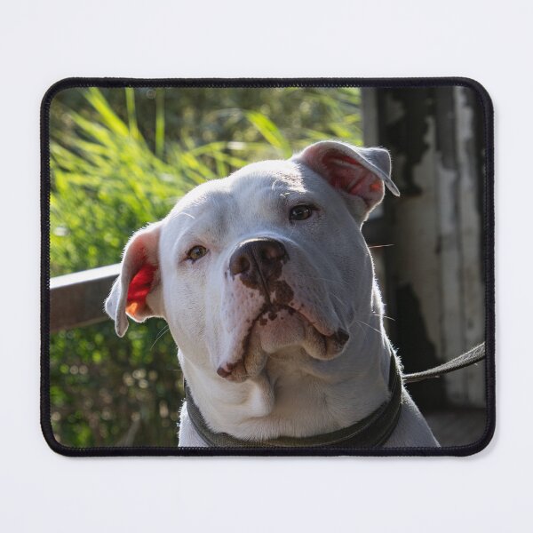 Item preview, Bentley designed and sold by MorningStarImg.