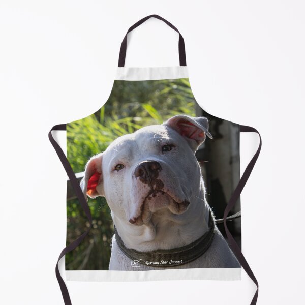 Item preview, Bentley designed and sold by MorningStarImg.