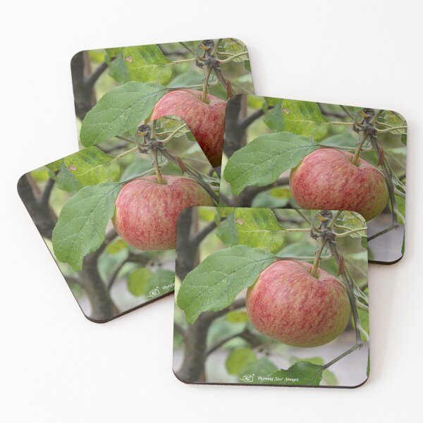 Item preview, Pick Me! designed and sold by MorningStarImg.