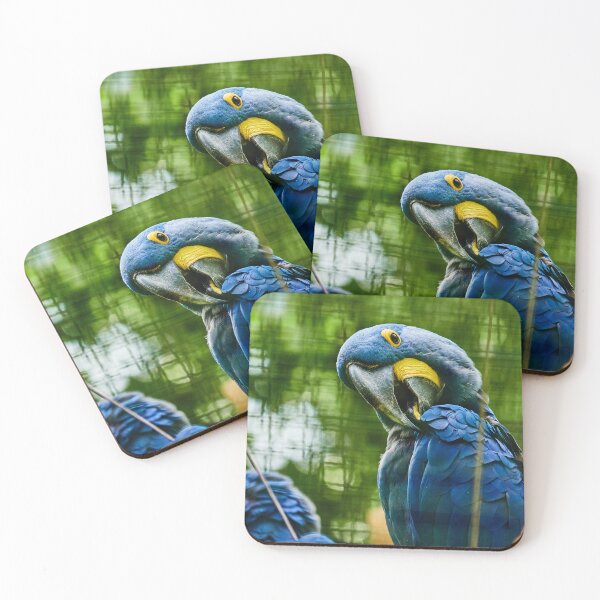 Item preview, Hyacinth Macaw designed and sold by Eidetic Photos.