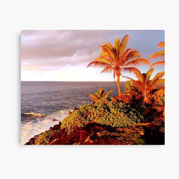 AHT Seven - Art Print 8:10 Canvas Print