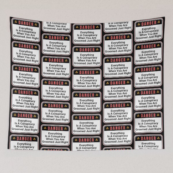 Item preview, DANGER:  Everything Is A Conspiracy If You Are Groomed Just Right - funny warning signs designed and sold by DesignsFromTW-S.