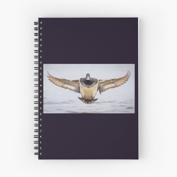 Item preview, Lesser Scaup in for the Landing designed and sold by Shannon Emmel .