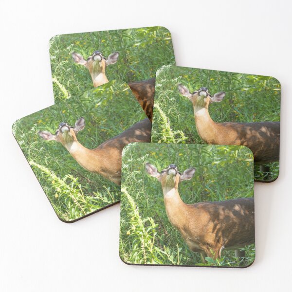 Item preview, A deer with its head held high designed and sold by Joel Bader.