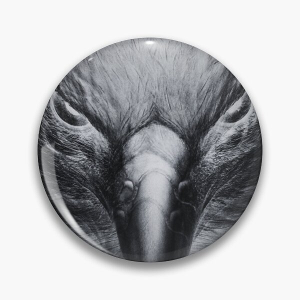 Item preview, Aquila  designed and sold by Chiko's.